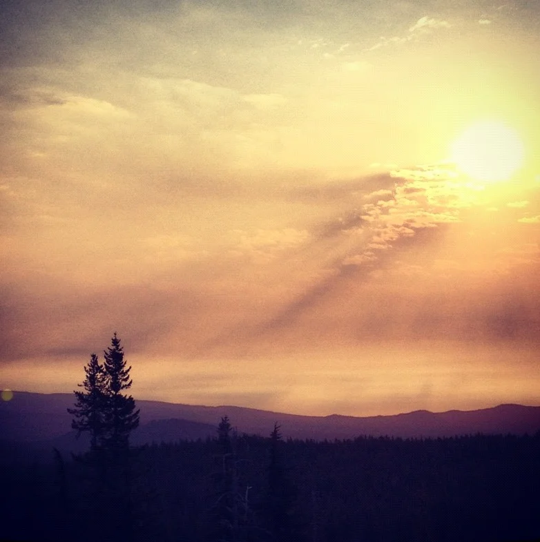 Final morning was all about huckleberries. I hadn't seen many on my hike, so thought I'd gotten skunked again, but headed back out towards the Sawtooth Berry Fields to see what was what there. 