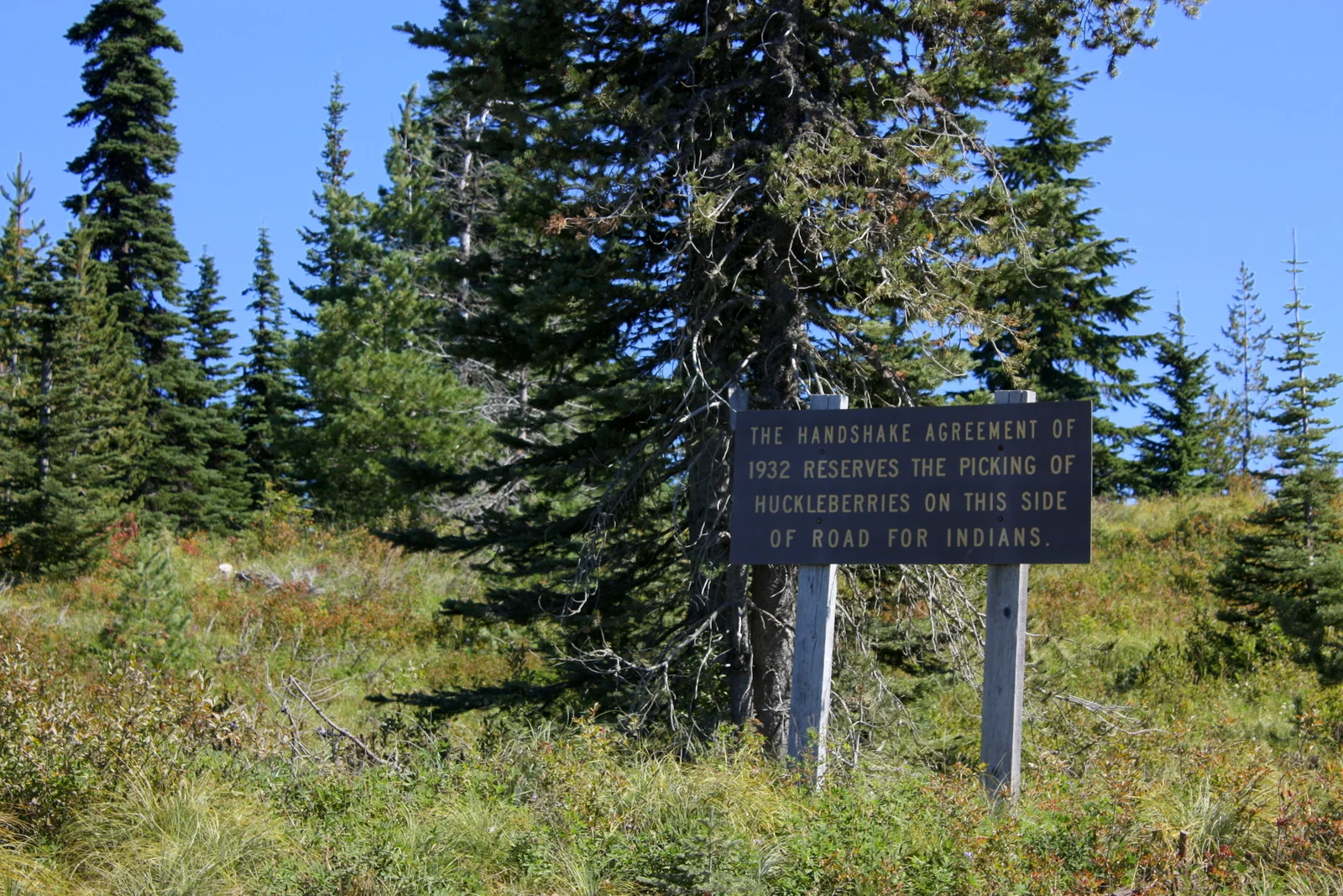  Also from the brochure:   "For thousands of years, American Indians spent summer and fall high in the mountains hunting, fishing, picking berries, and celebrating the plentiful gifts of the land. Once every few years, they burned the berry fields af