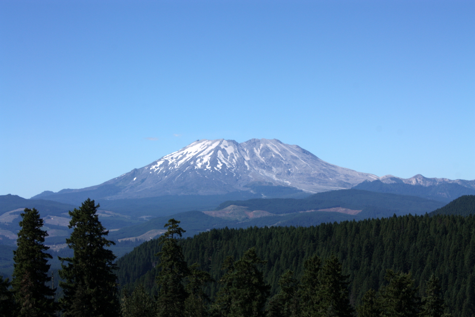 Indian Heaven Wilderness