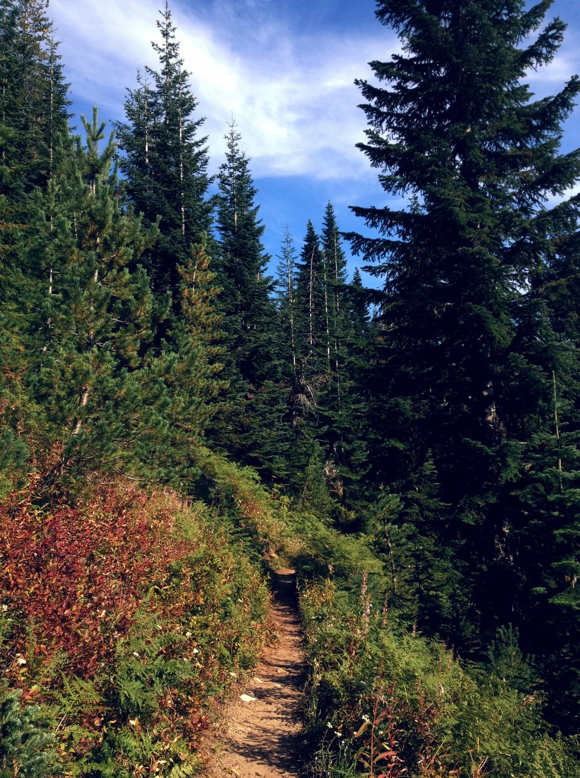  Then you break out into a walk along the ridge... 