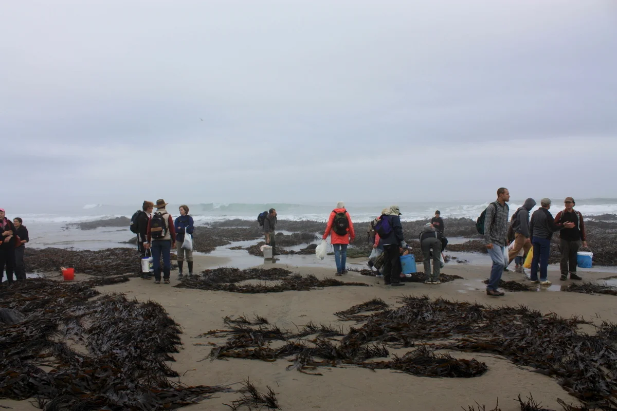  After the introduction and initial instruction, we all tried our hand at harvesting. 