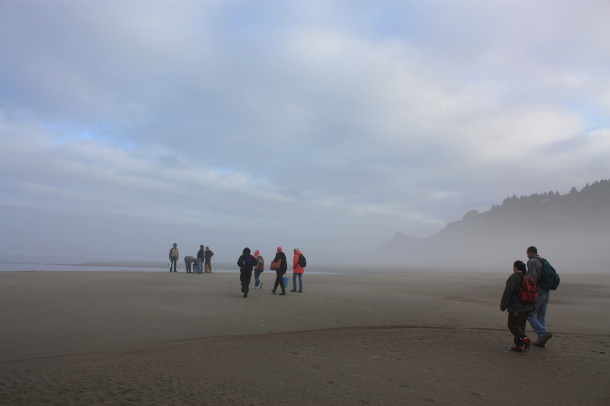  Our class met early at low tide at a beach near Lincoln City. Several of the participants had taken a clam-digging class with Kallas the day before. I wasn't the only attendee down from near Seattle; Kallas attracts students from all over to his wil
