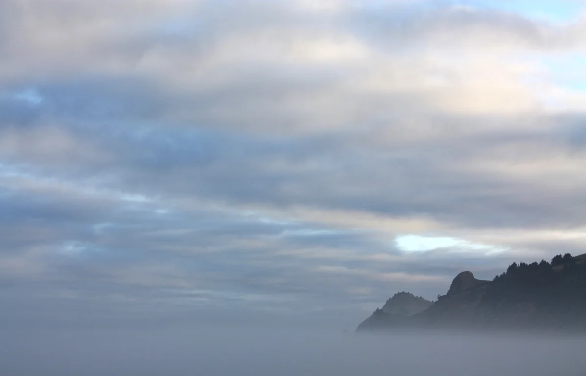Seaweed Foraging Class