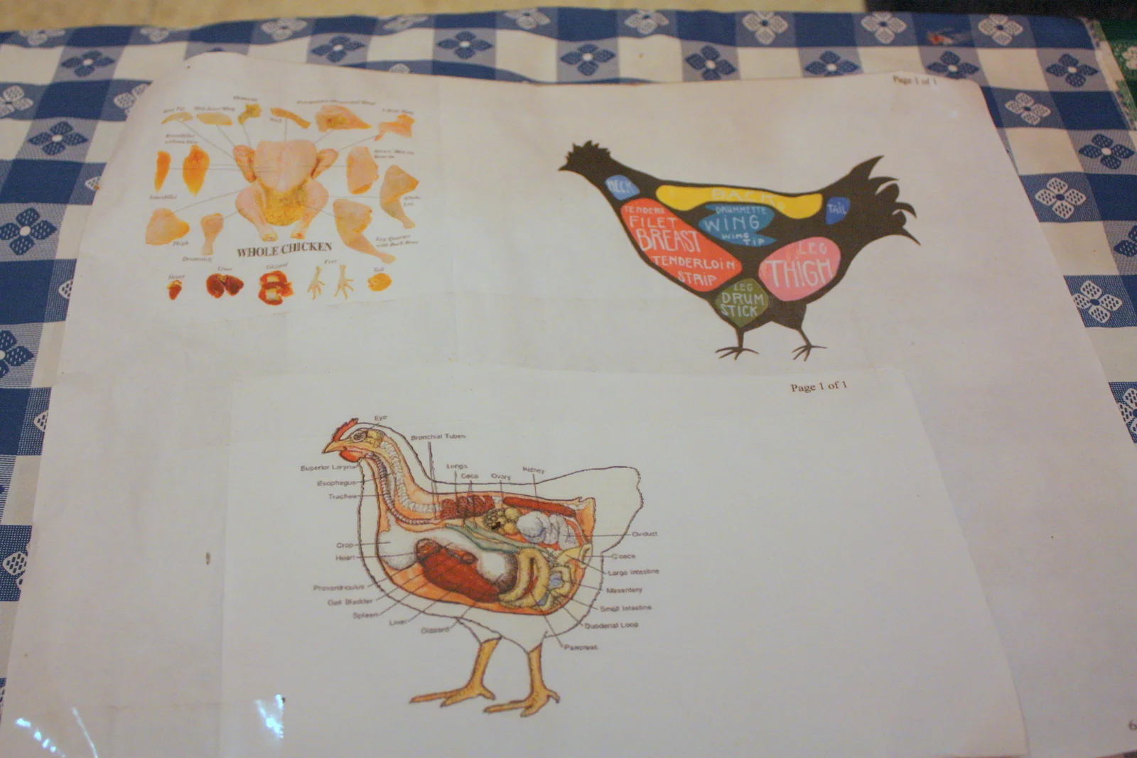  And Seattle Farm Co-op was there to offer help to urban gardeners. They have a barter happening on Sunday, November 11, 2012. More info on that on the last slide. 