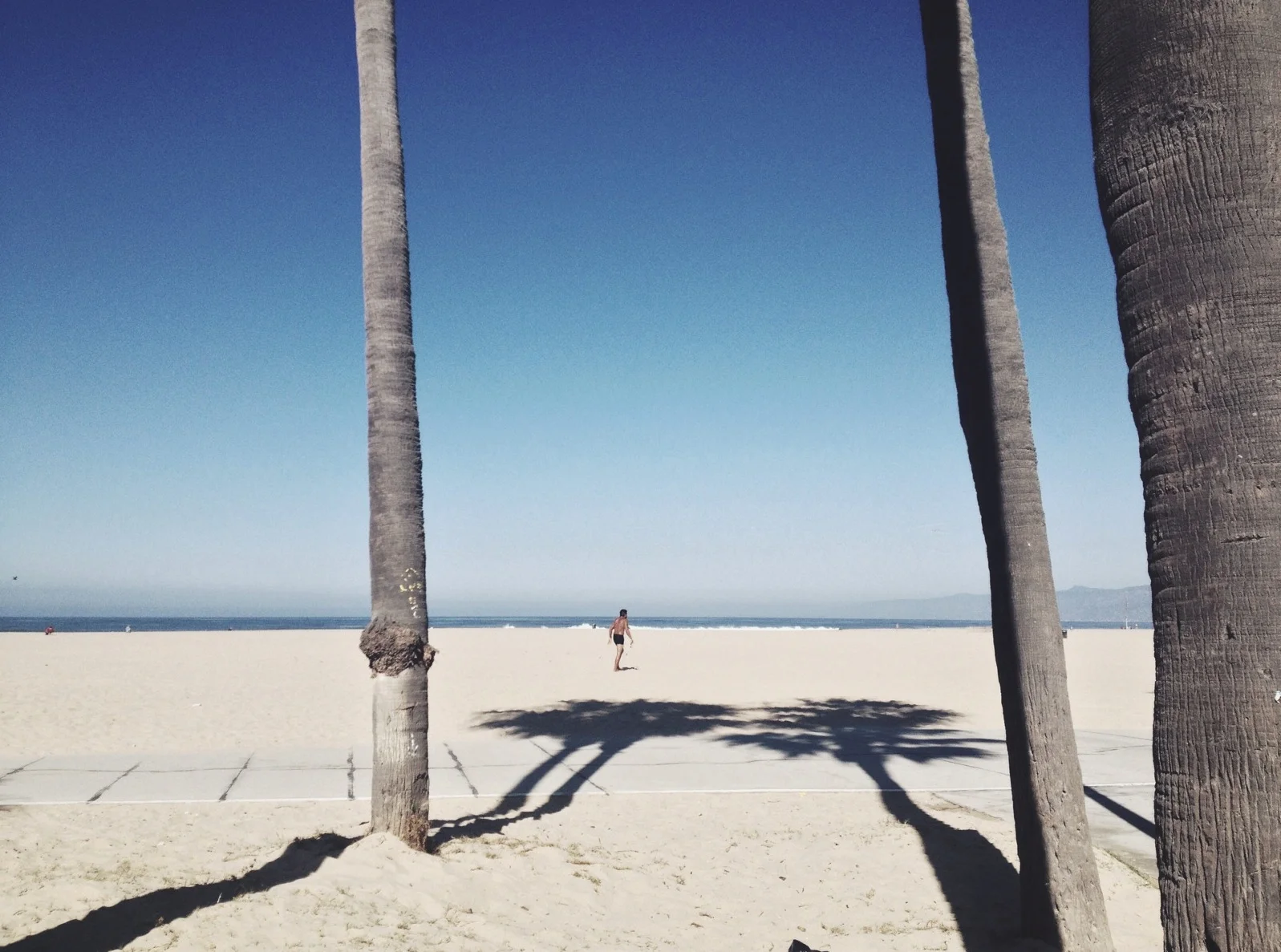  Last day: Venice Beach 