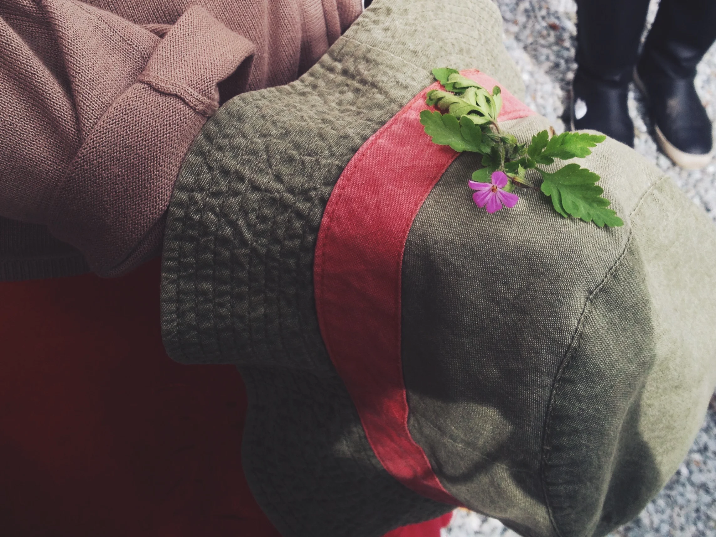  Not every plant has an edible use, but still can be useful. Stinky Bob or Herb Robert might be a pungent, inedible weed, but as one of our weed walkers found, still makes a nice decoration for a hat. 