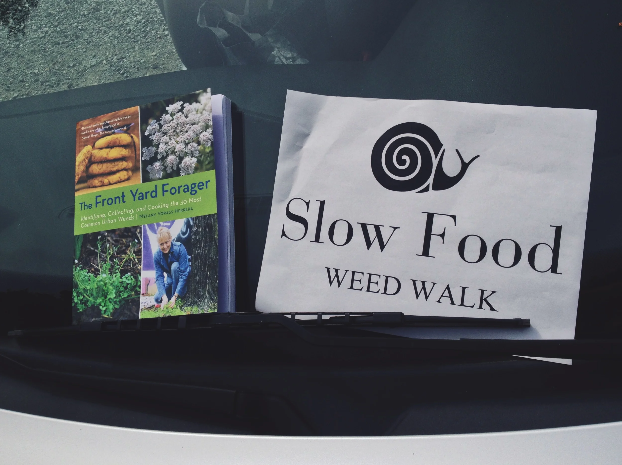 Slow Food Seattle Edible Weed Walk with Melany Vorass