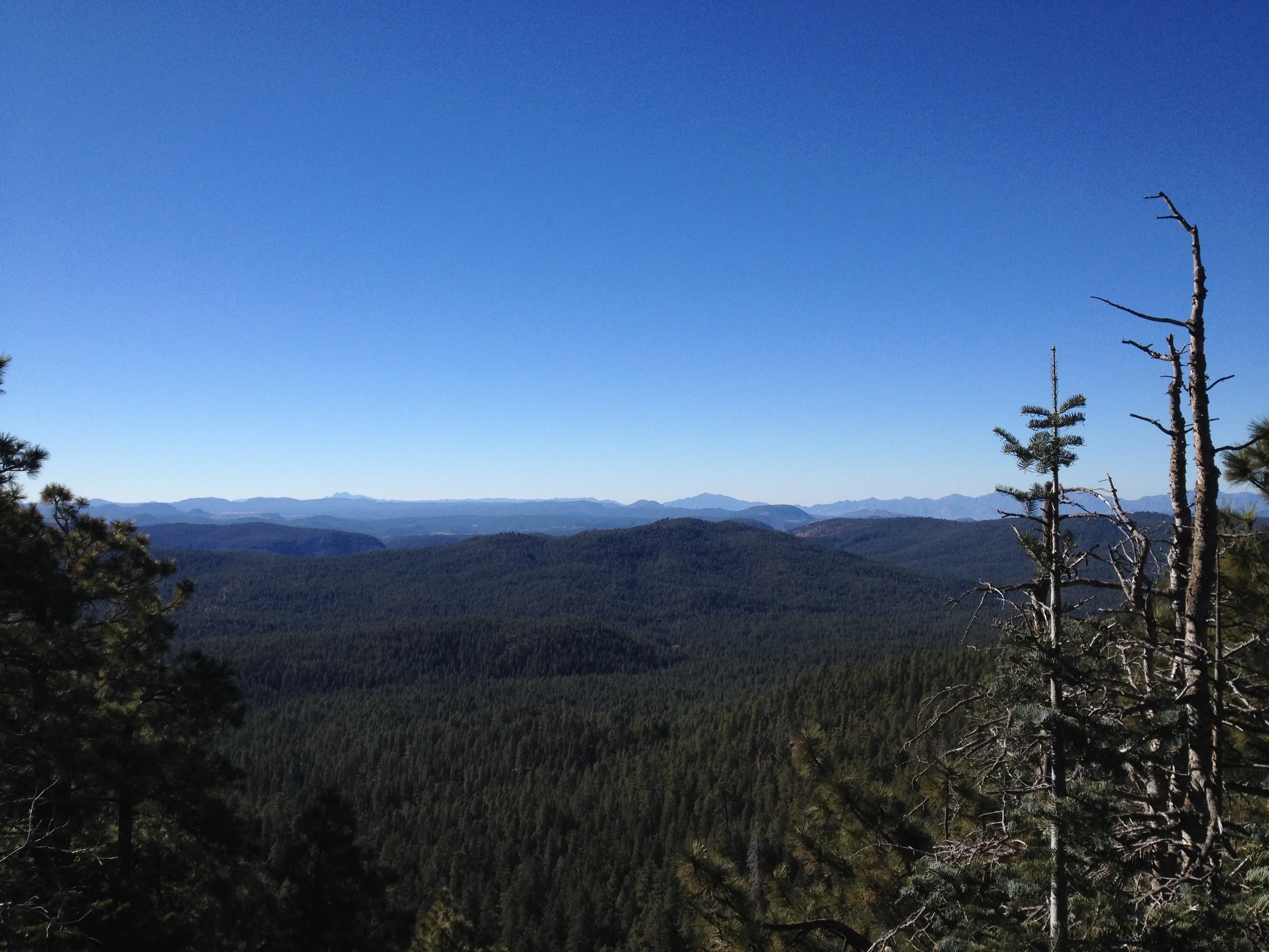  Mogollon Rim 