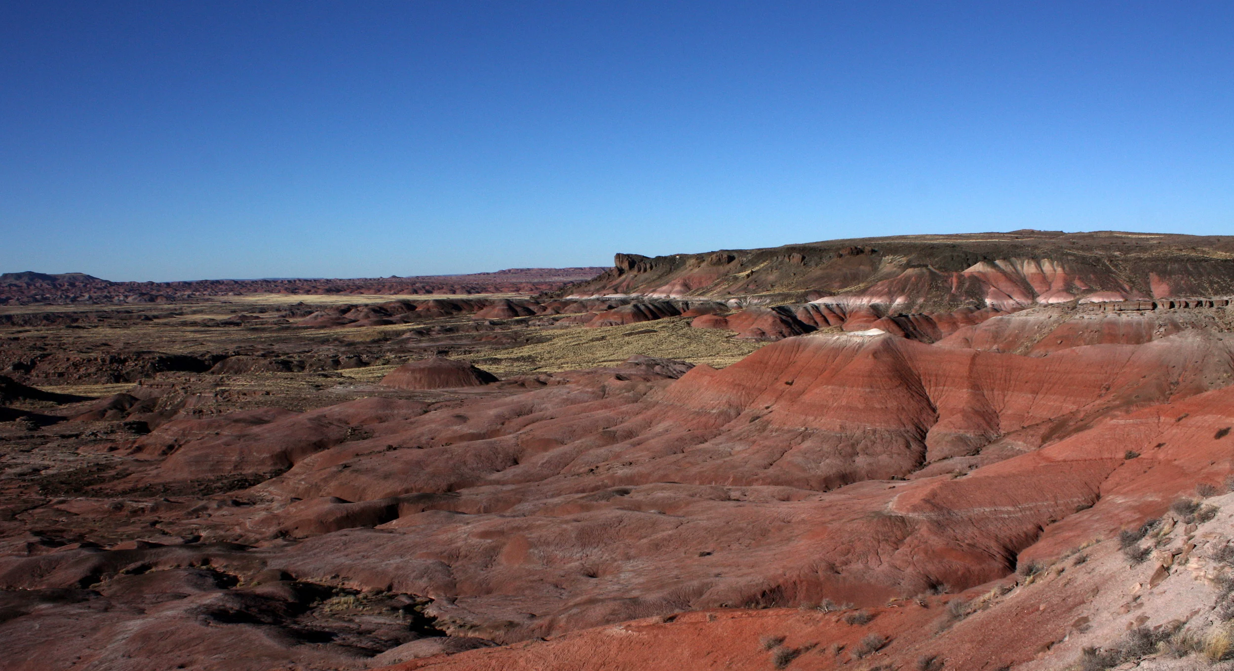  Painted Desert 