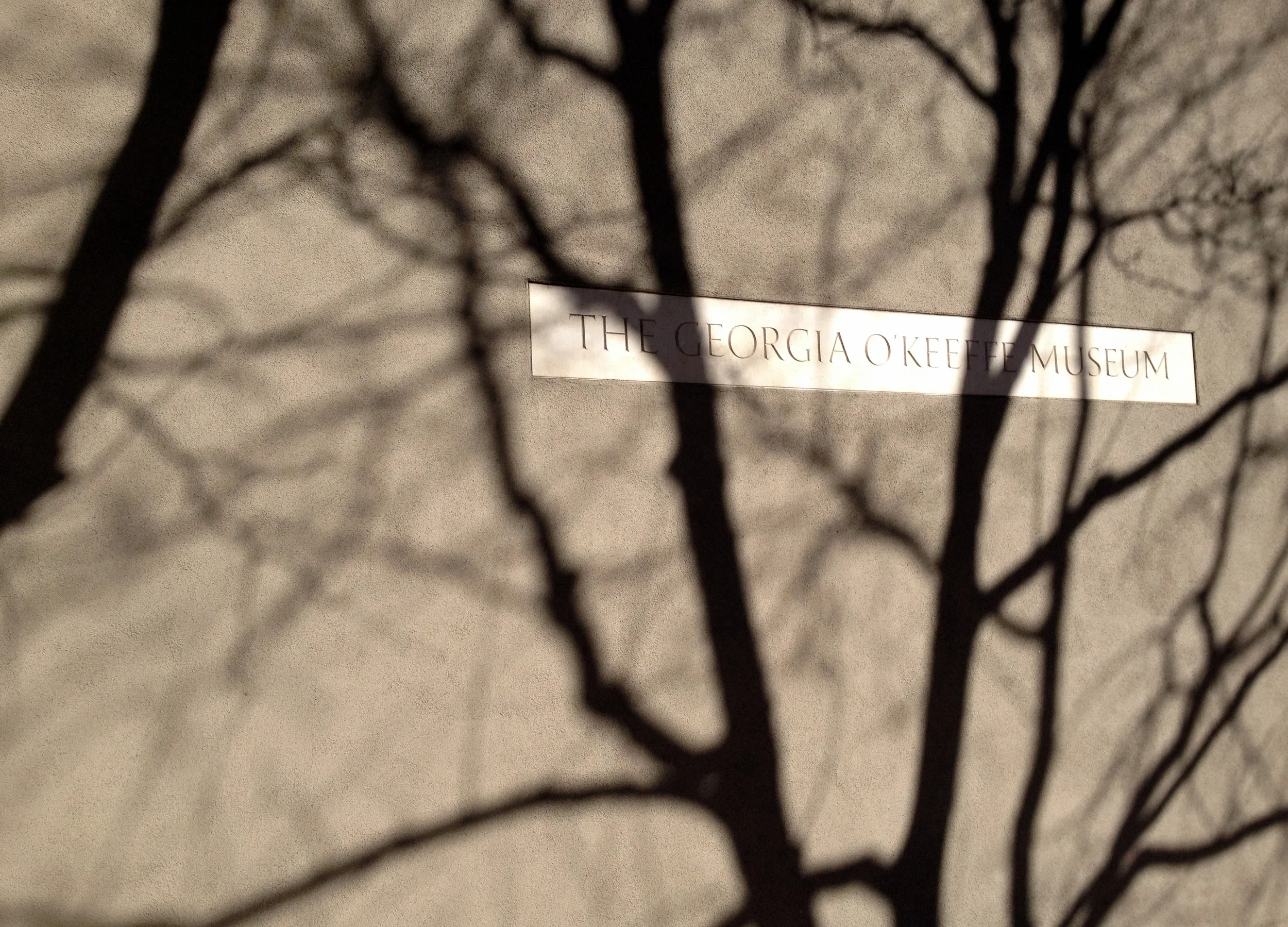  First day exploring on foot. 