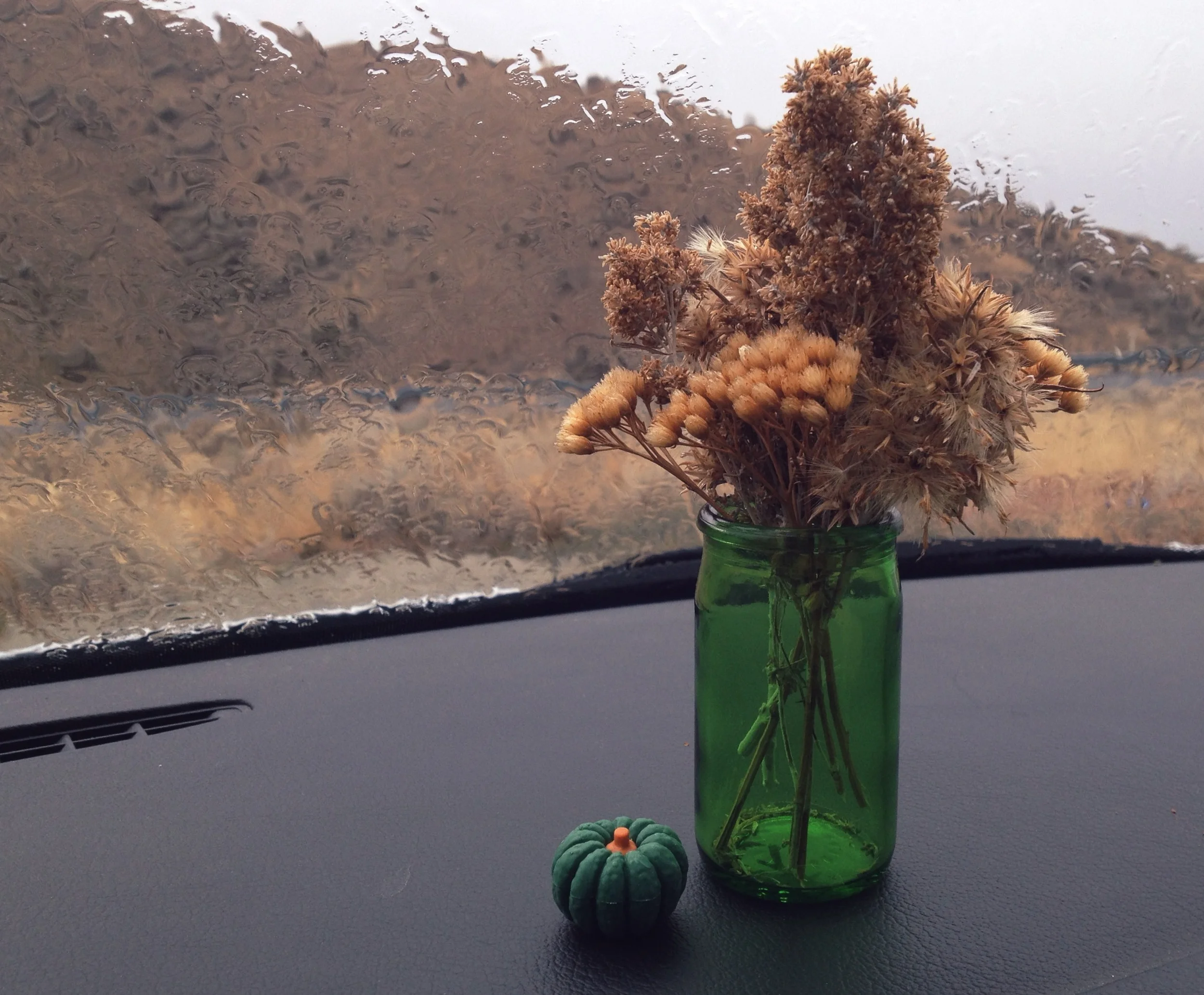  Dallied for a roadside tiny bouquet at a vista point in Kittias County. 