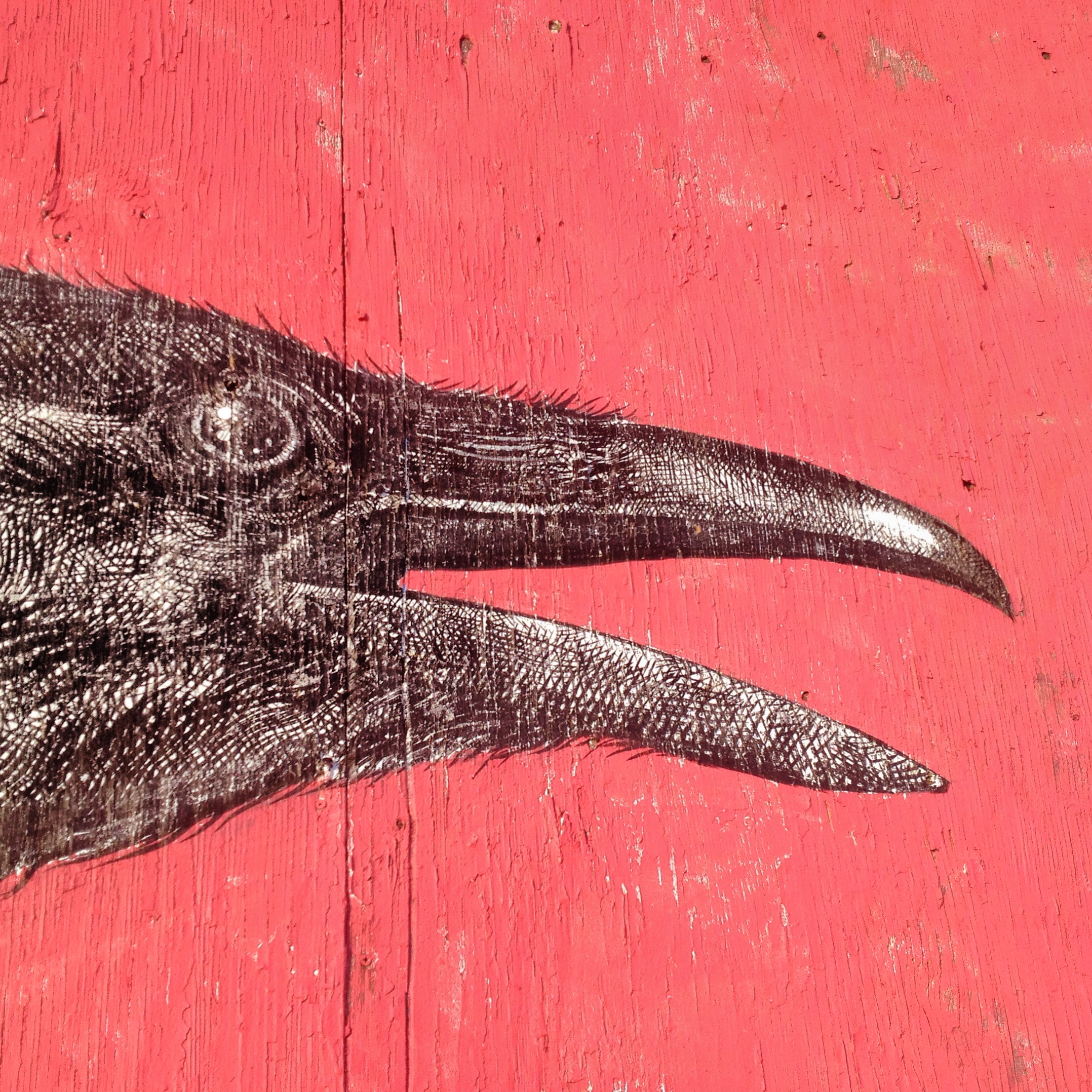  By Alexis Diaz of Puerto Rico for the Painted Desert Project 