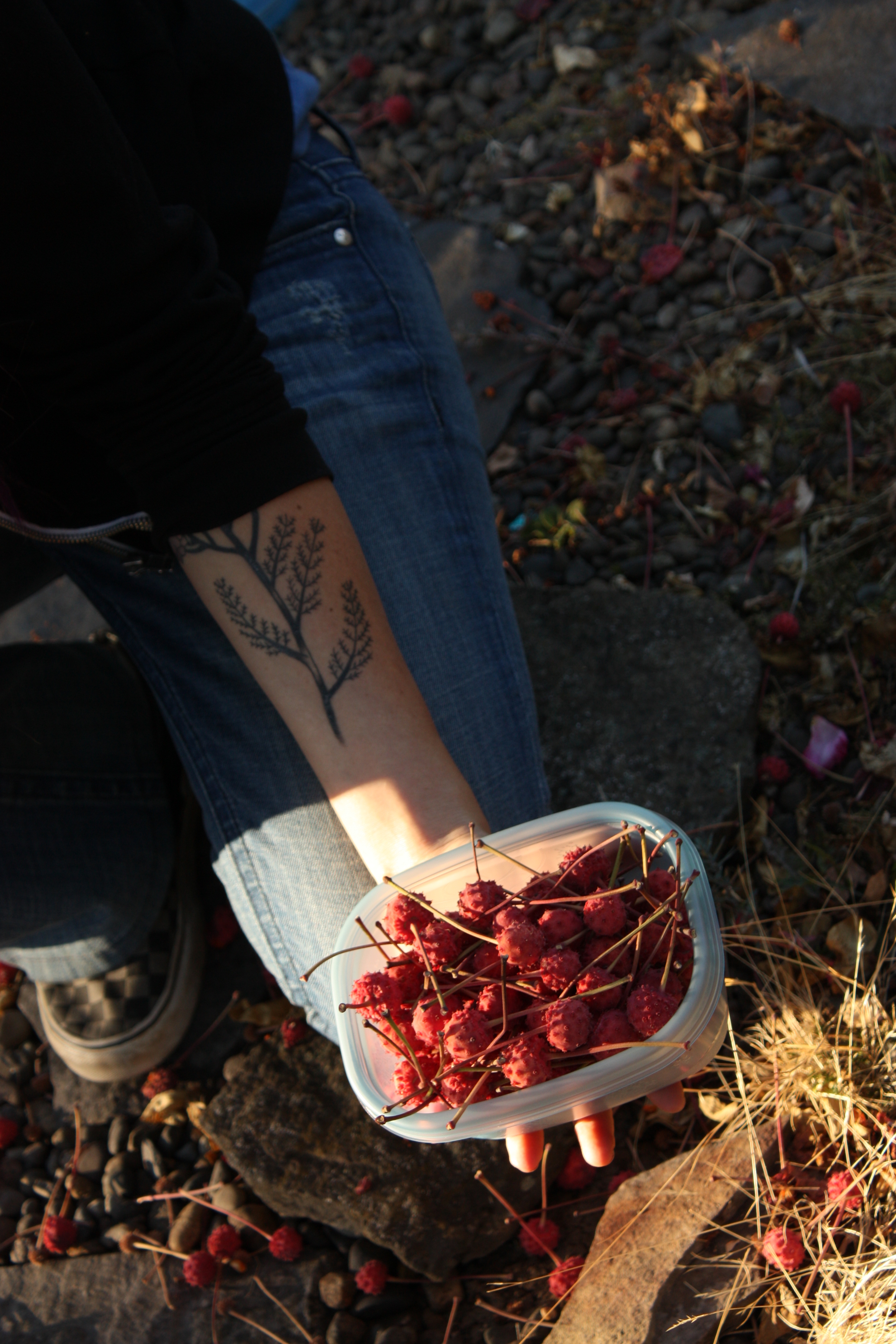  My first experience with these were some mealy ones so I wasn't a fan, but in trying again with Becky, I really enjoyed the mild mango-strawberry flavor and a better texture (like lychee, as she notes). These usually show up around the change of sea