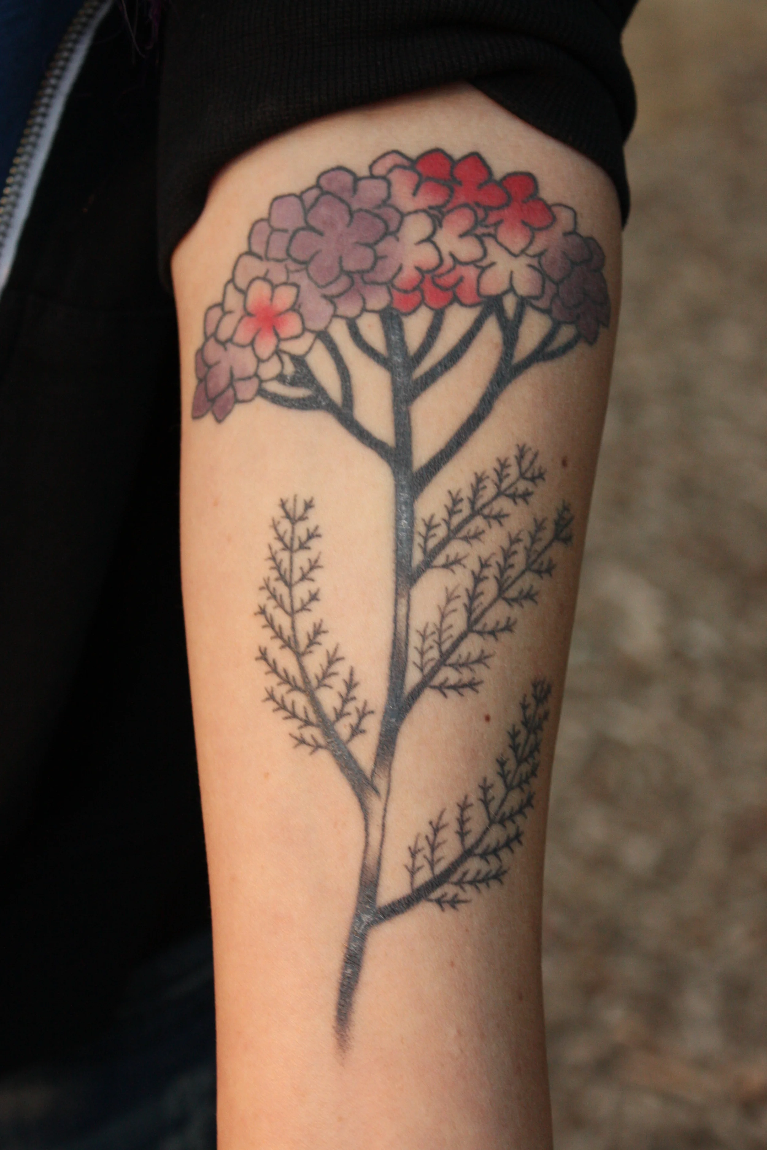  Becky's yarrow tattoo   For more flora slideshows, click&nbsp;  here  .    For more foraging slideshows, click&nbsp;  here  .   For more slideshows about making stuff, click&nbsp; here .  For other slideshows in other categories, click&nbsp; here . 