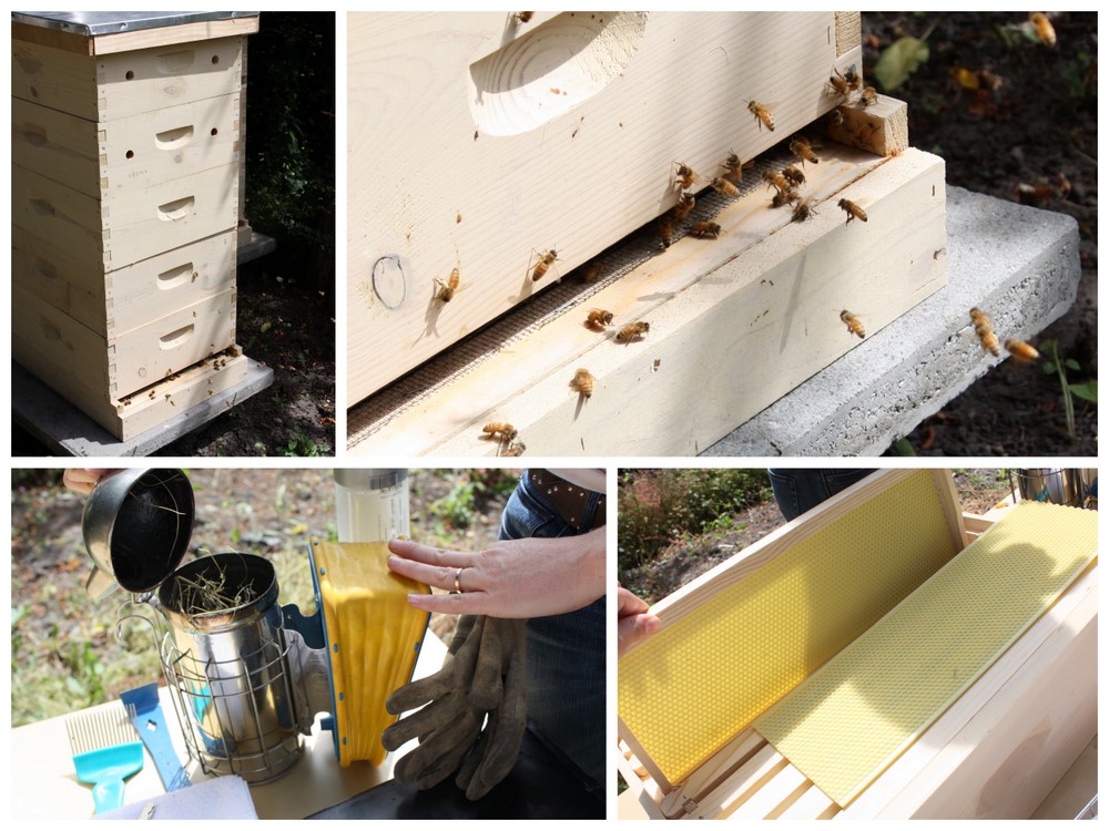 They also kept bees, who were stereotypically busy, buzzing around.