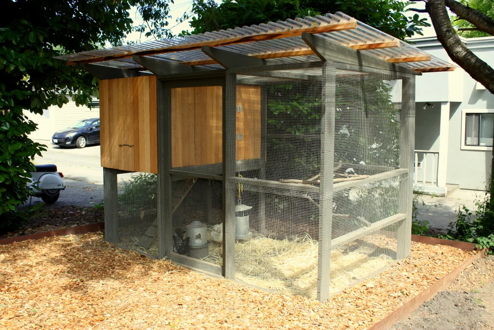  Our first stop on the Seattle Tilth Urban Farm Tour was in the Eastlake area, a modern house with a sleek modern chicken coop to match. 