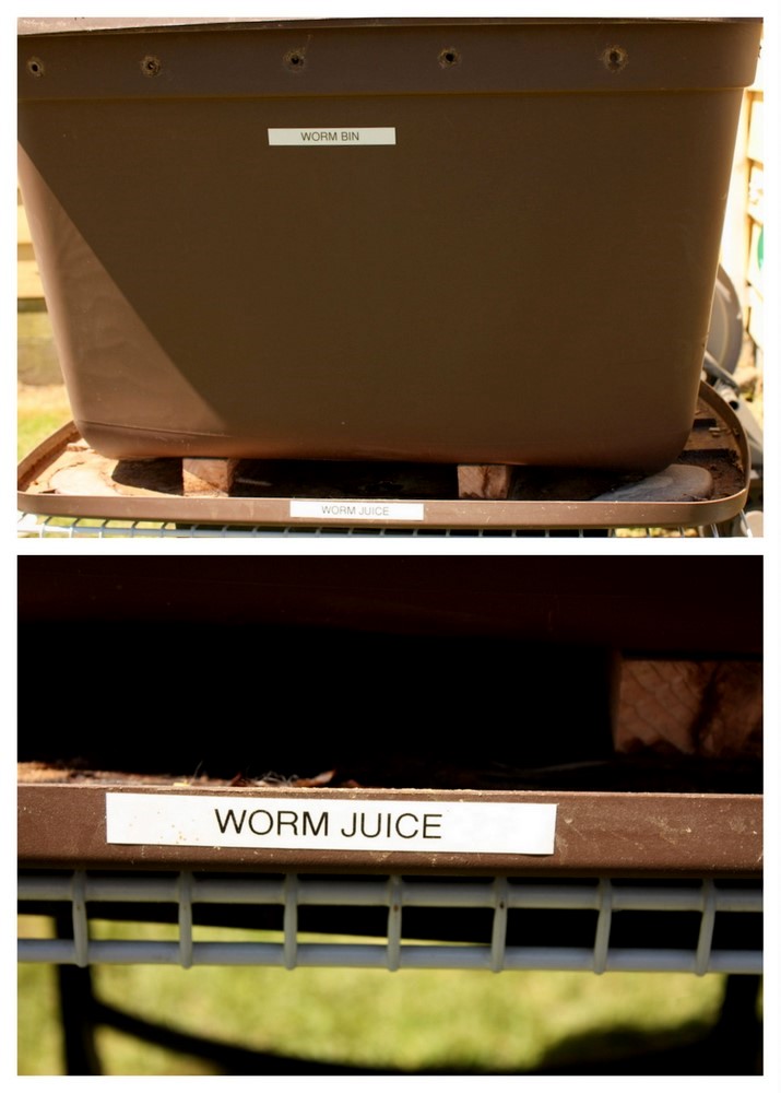 But they have plenty of worms (and a beloved label maker).