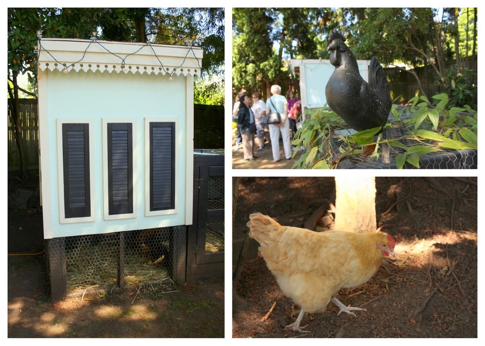 My last stop for the day was Mezza Luna Farms, with its New Orleans French Quarter-style coop.