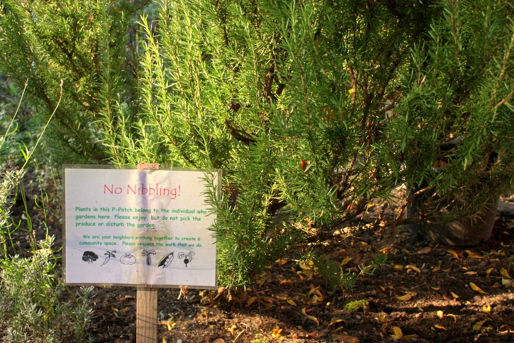 ..."No Nibbling" signs necessary.