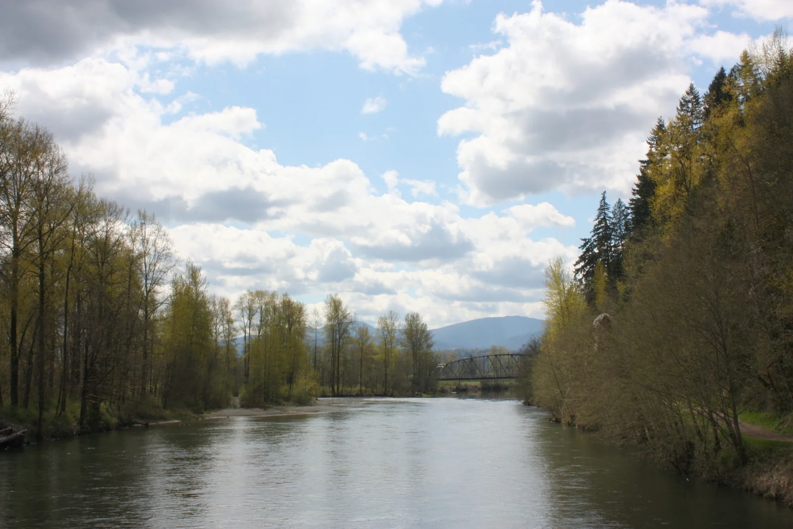 Carnation: Tolt-MacDonald Park & Dog Mountain Farm Edible Flowers Class