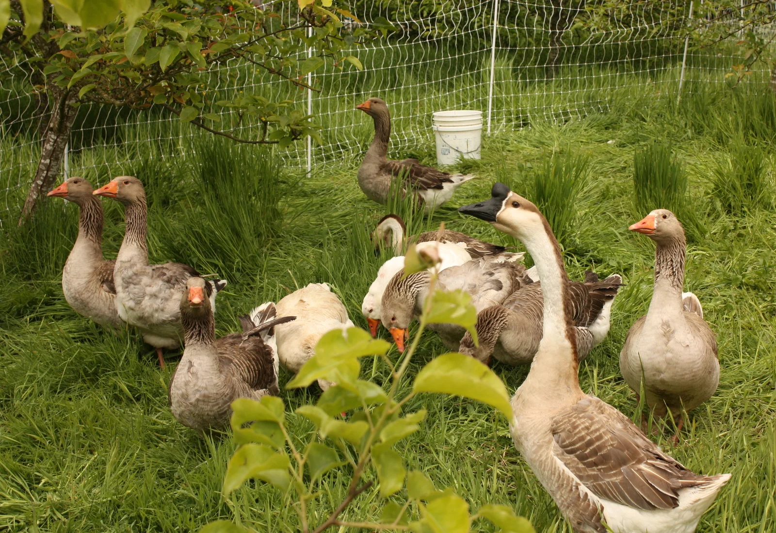  We got there a little early so we took a look around at the various critters. 