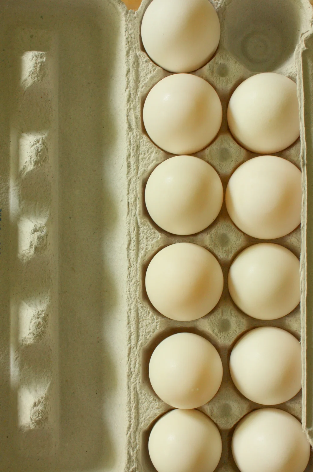  And before we left, we picked up a dozen of the farm's duck eggs. 