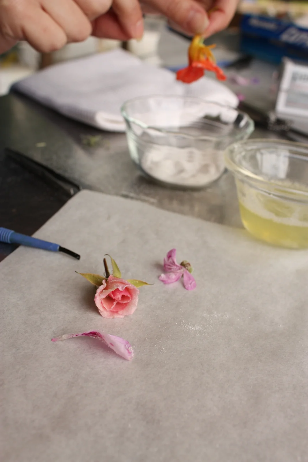 Edible Flower Class at Dog Mountain Farm