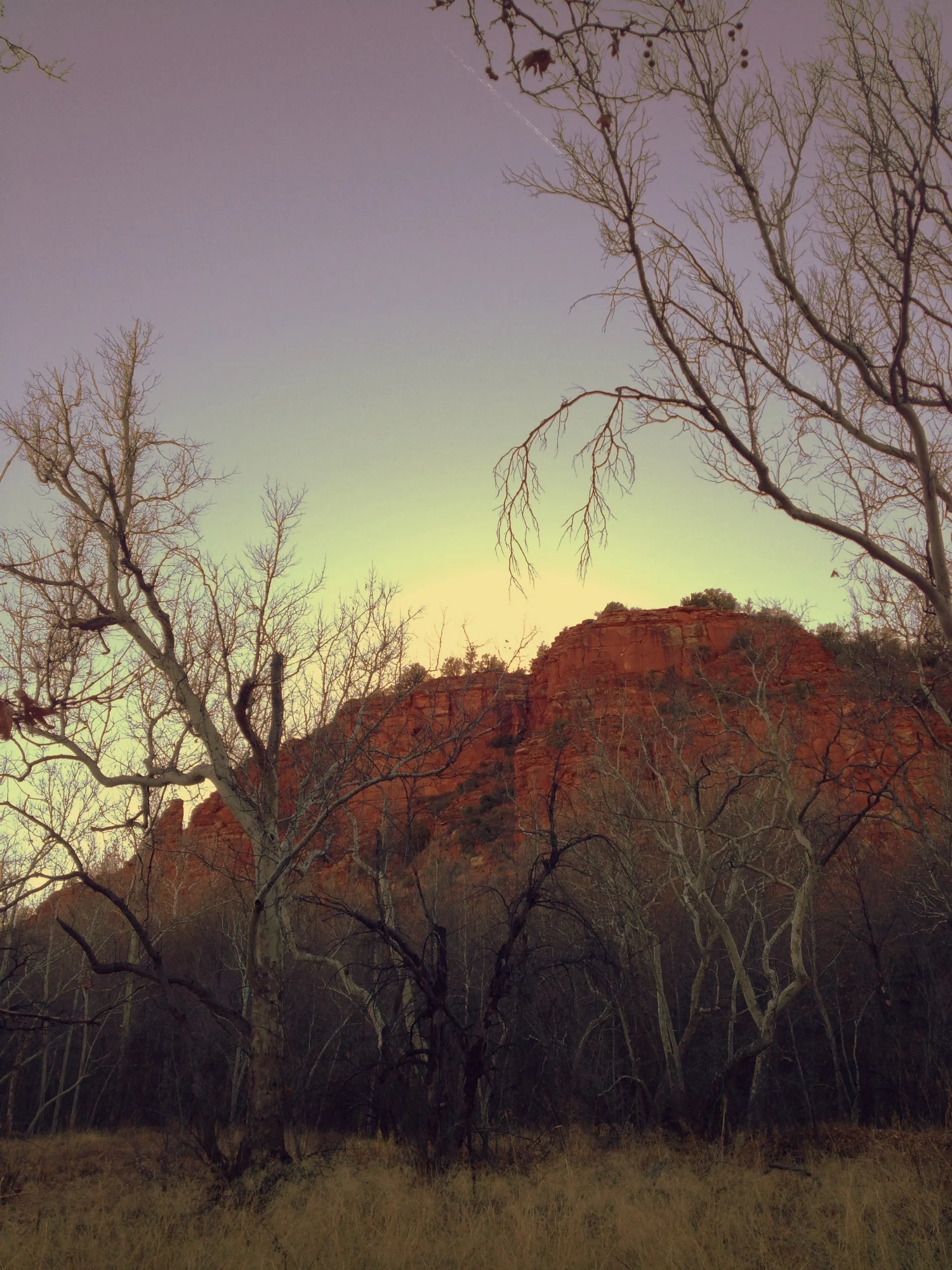  ...but then I was on top of when I realized the gates were closing in a half hour. (There are a LOT of signs at the park warning you about the closing time.) So I had my very first trail running session. 
