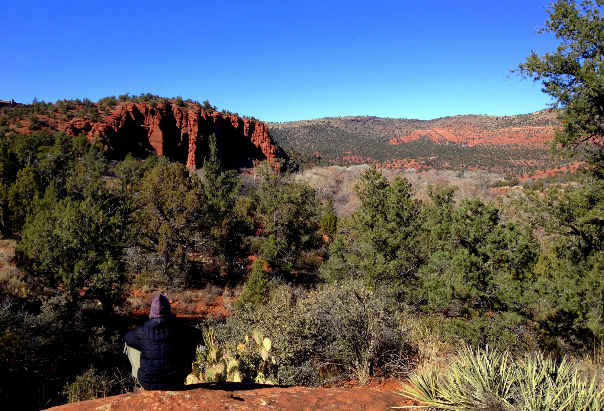 Sedona 2012