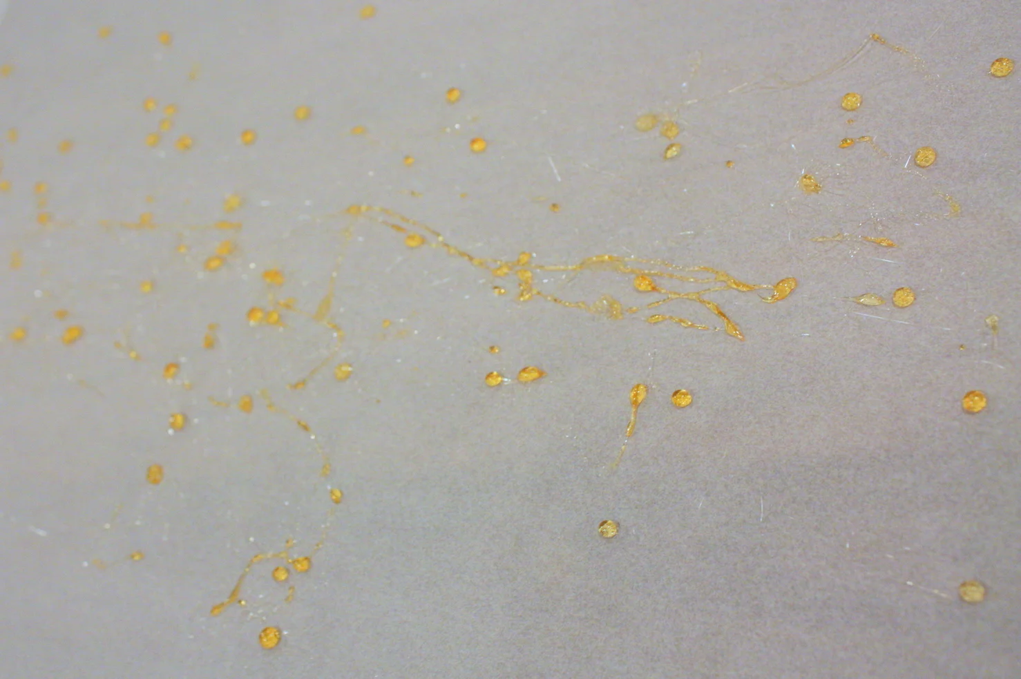  The candy dots left on the parchment. 