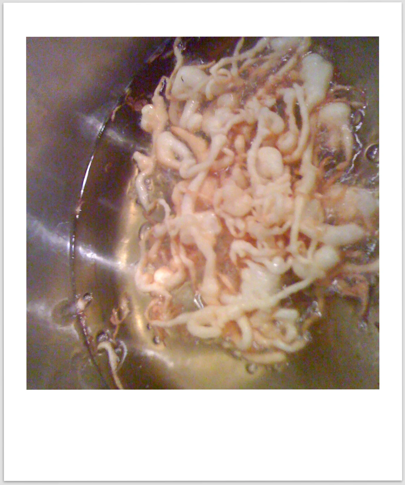  This sad pile was my poor attempt at a funnel cake. 