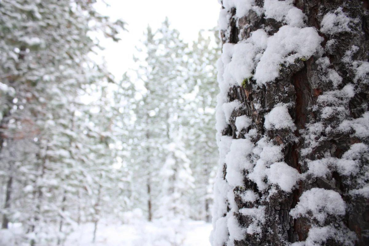  Both Heather and I were challenged to take a decent photo to effectively capture the beauty of the snowy scene. 