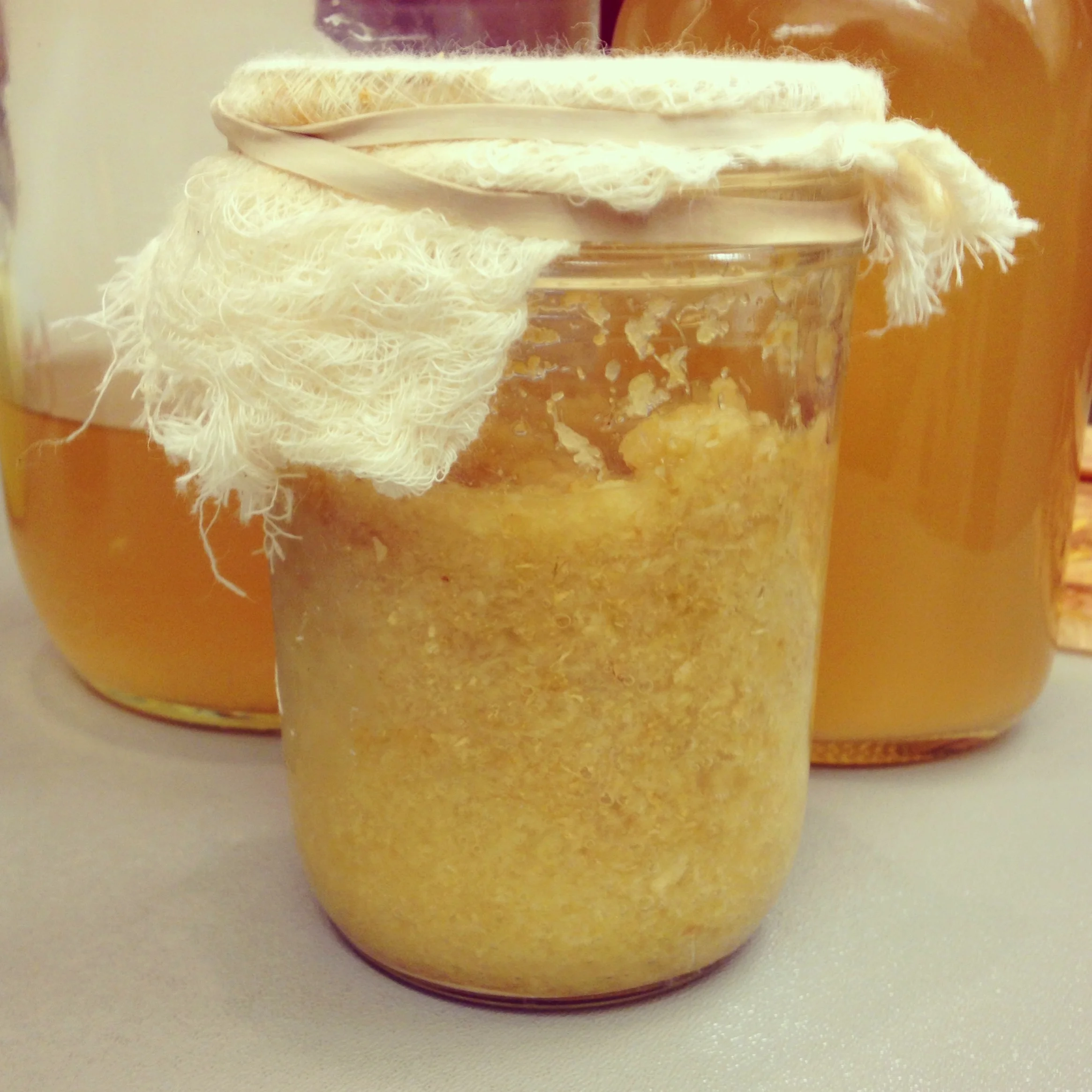  On to the main attraction for my crew: the ginger bug. This is like a sourdough starter or vinegar mother: a little concentrated incubator for the beneficial yeasties that you can then use in a ginger soda with the base of your choice. Check out  th