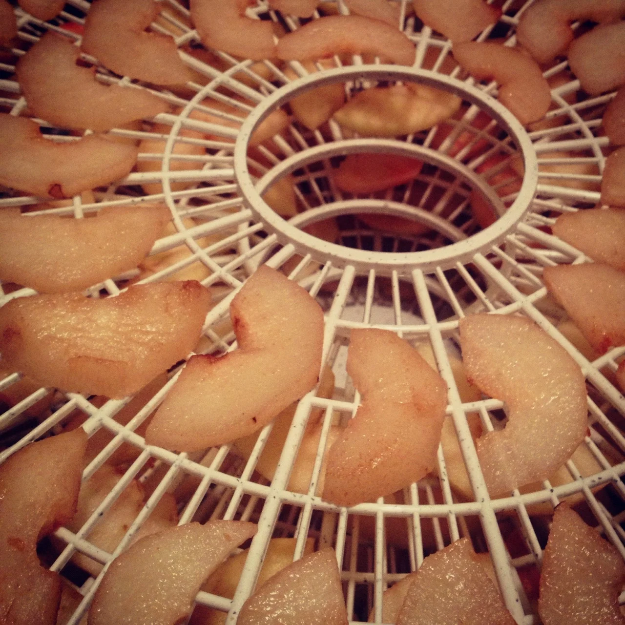  If you have an oven that goes as low as 110-120 degrees, you can use it to dehydate. Otherwise, check into dehydrators. I bought one for about $40 that seems pretty decent. Kristin also suggest checking Freecycle and Craigslist or sharing one with a