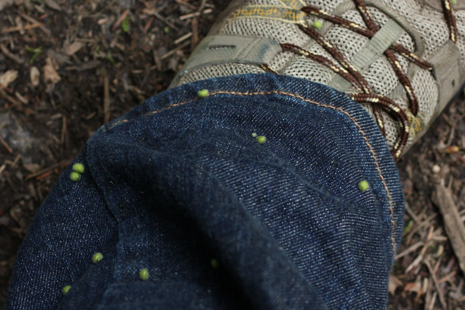  I picked a bunch of velcro-like galium seeds and then looked down and found I also had some volunteers. 