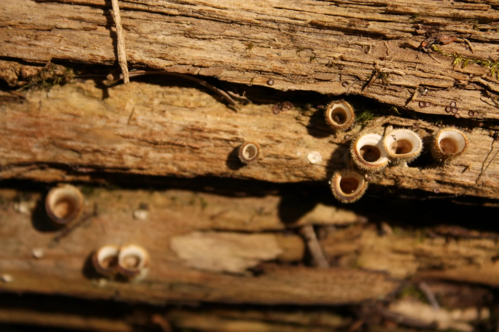  Not sure what these mystery tubes are either. 