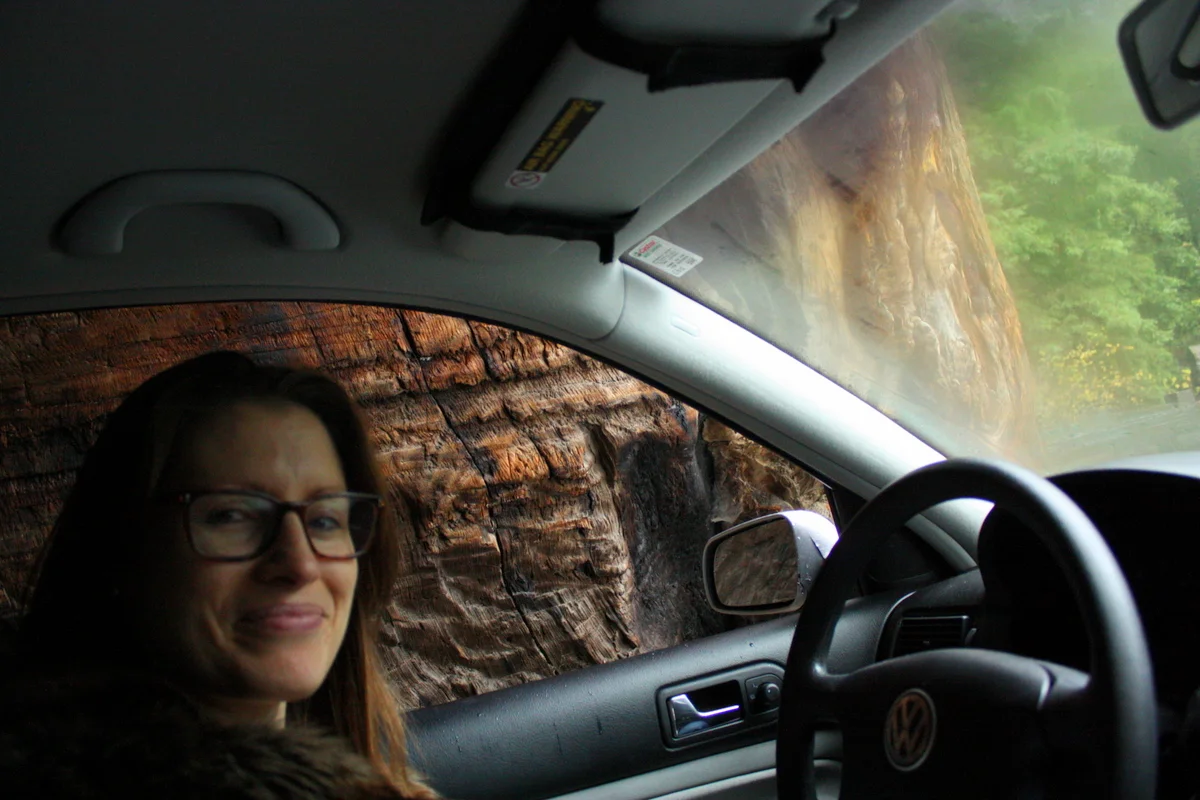  Heather in a car in a tree 