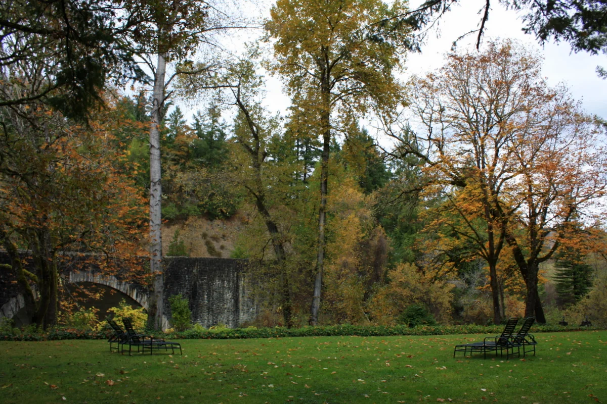  View from the back of the hotel. 