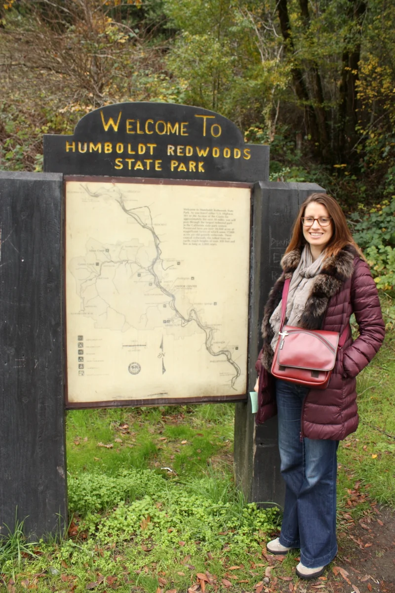  The next day we drove the Avenue of the Giants and took a walk in the redwoods. 