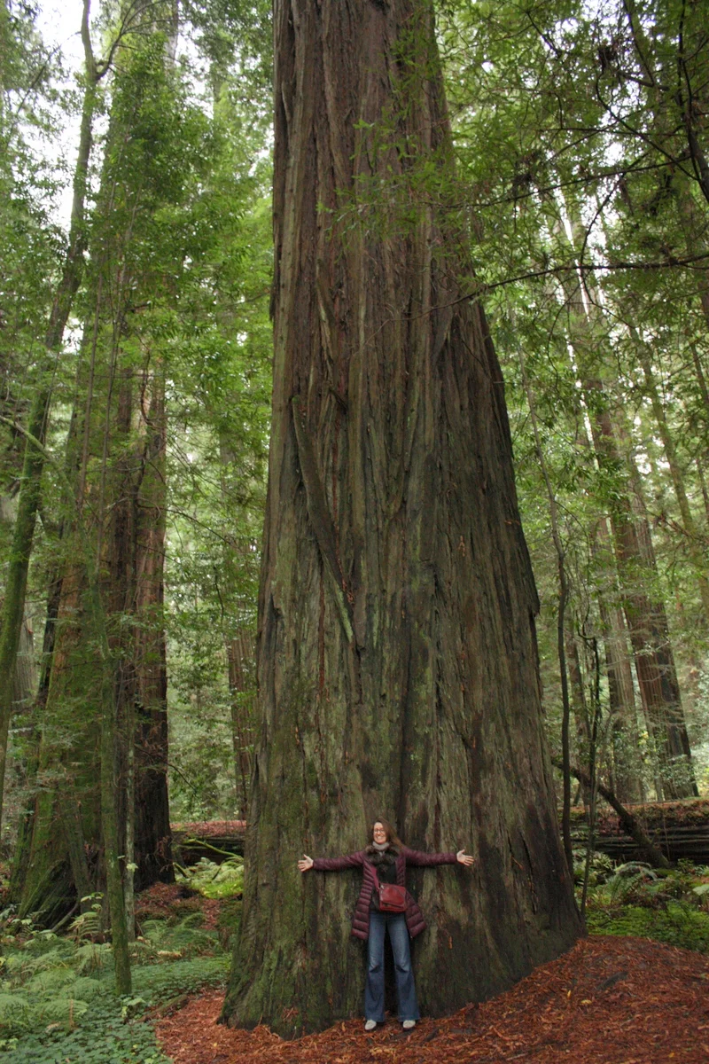  And it has lots of big trees! 