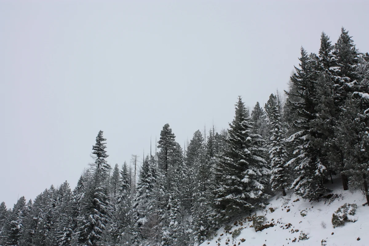  We lucked out, and when we left on Sunday, although it still looked a little ominous, we made it out okay without having to use chains. 