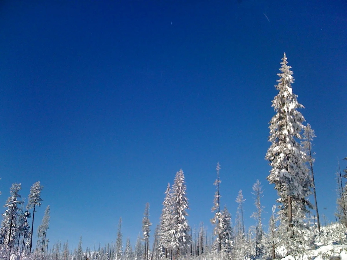  And the sky cleared making it all winter wonderlandy. 