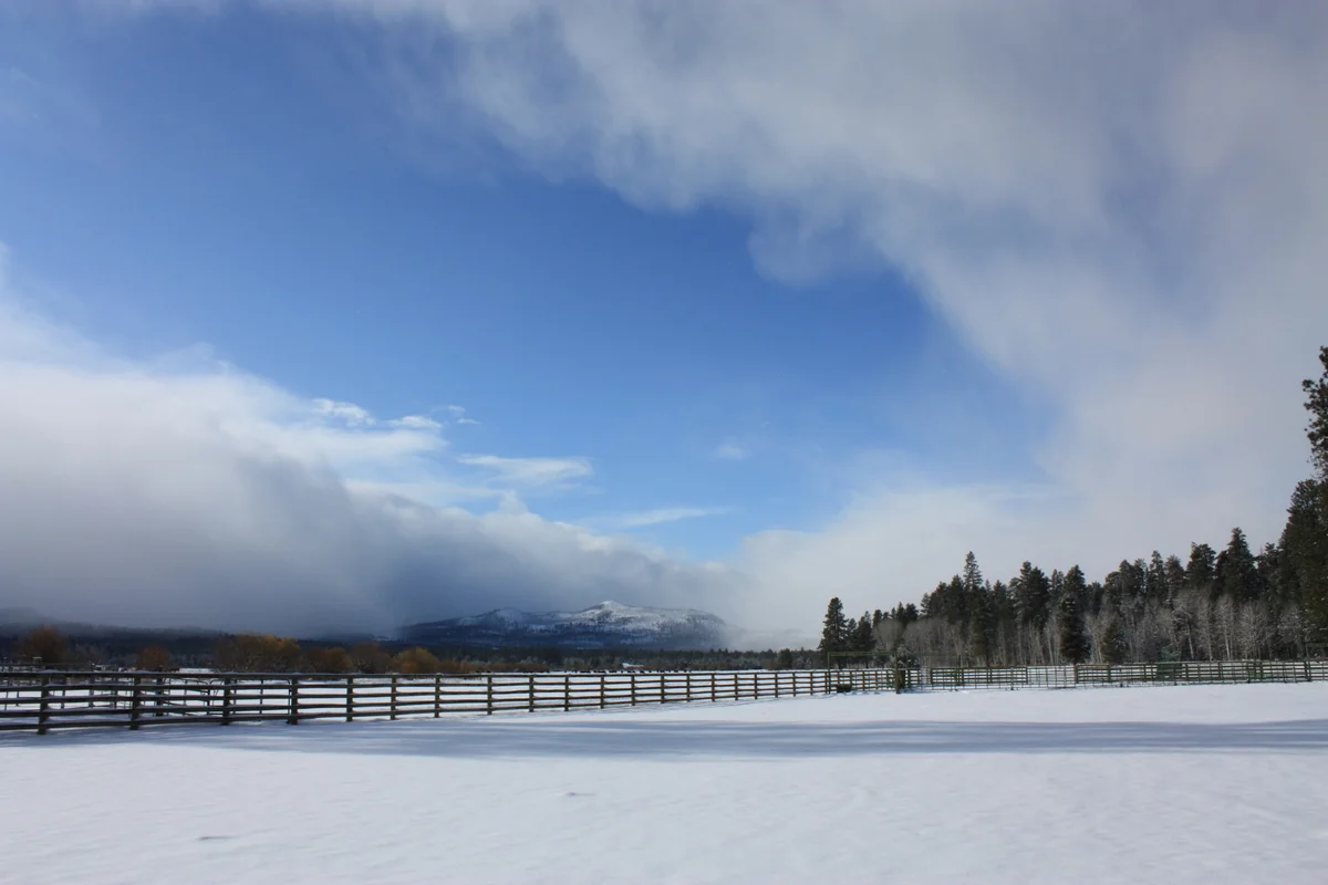 We ventured out to check out the general store (which was well stocked with wine, thank goodness, and manned by a cashier with whom we discussed popular novels and their flaws). 