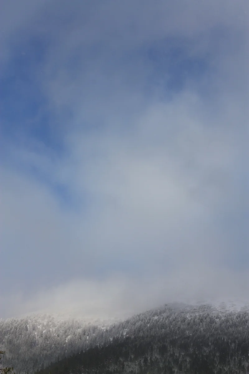  We'd thought the sky was clearing, but it started clouding over again. 