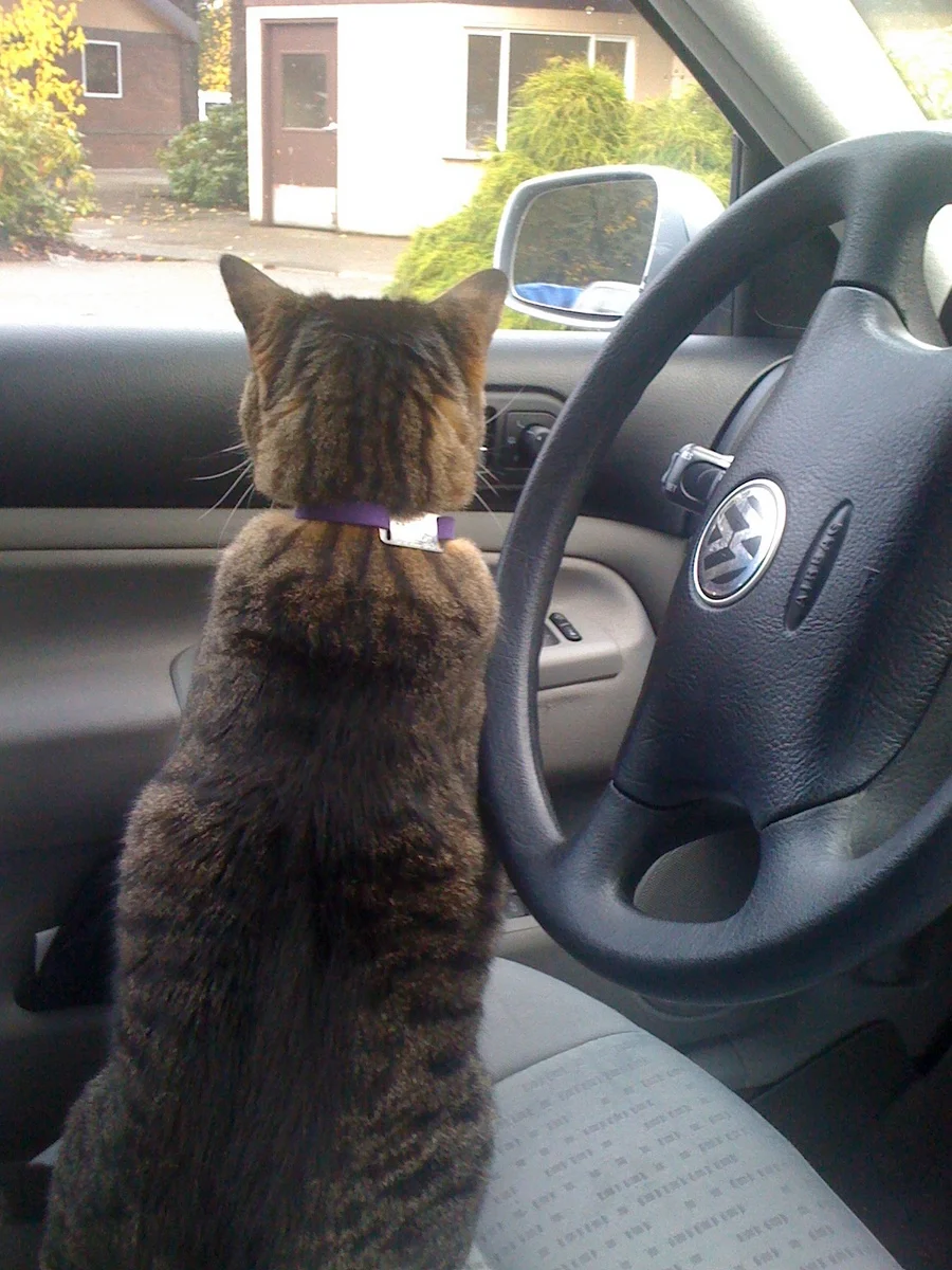 SEA-PHX Road Trip 2011