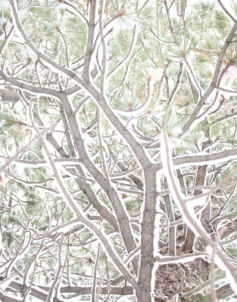 Snow abstraction.JPG