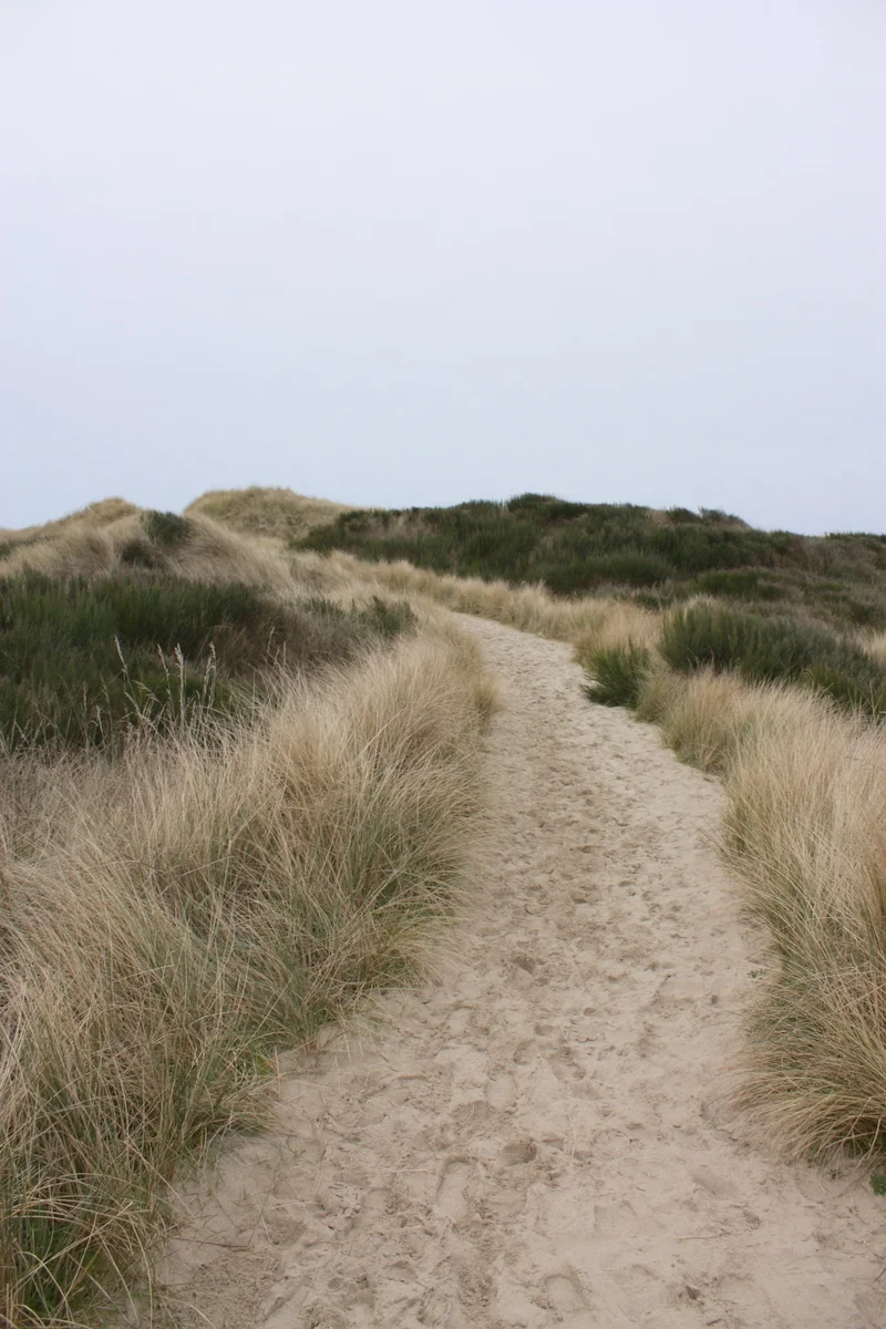  We drove across Oregon to the coast, where we took a quick, Griswold-style trip to the dunes. 
