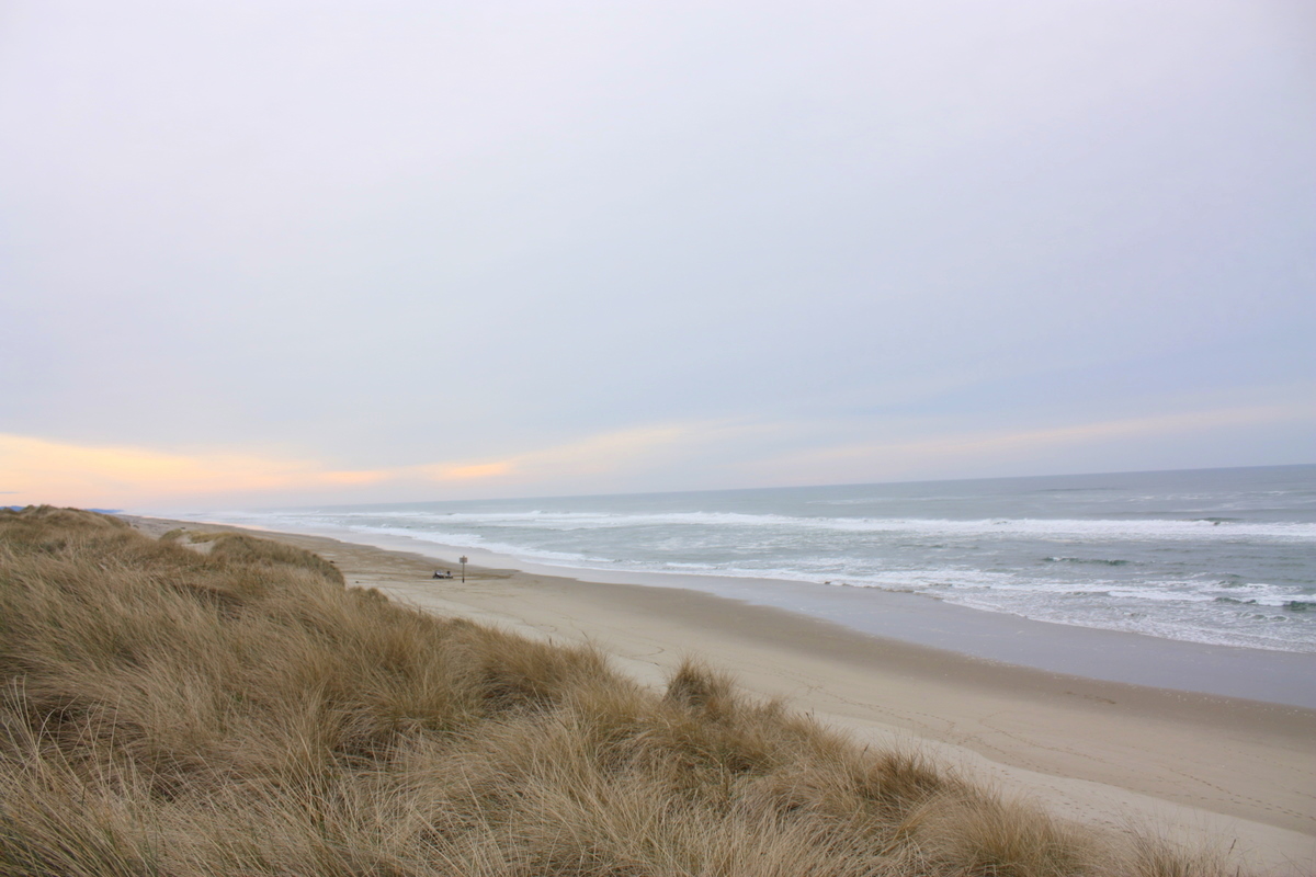  Oregon coast 