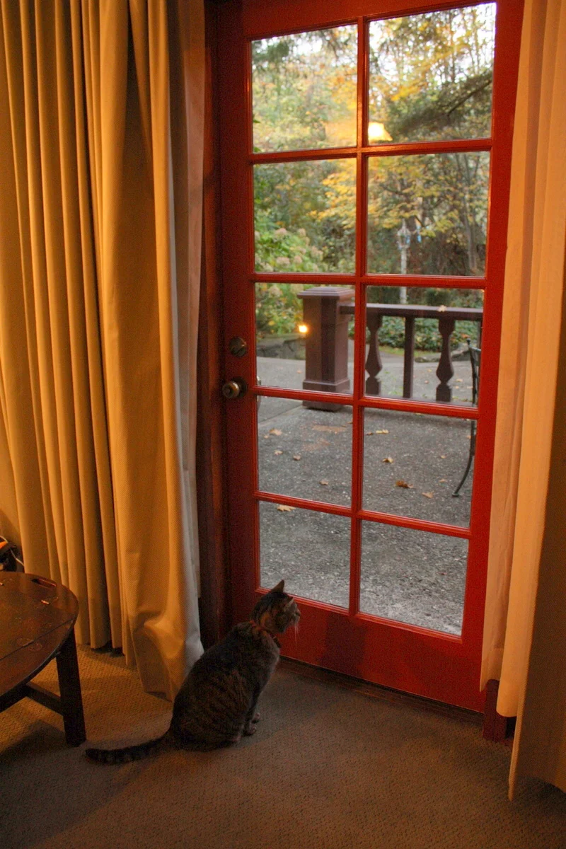  Baby checking out the view the next day. 