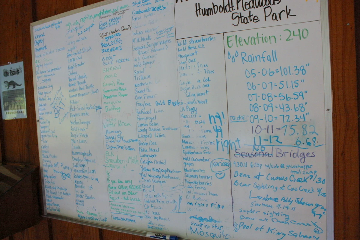  First a stop at the visitor's center, with its list of flora and fauna that had been identified. Included on the list of fauna: Sasquash (sic), humans. 